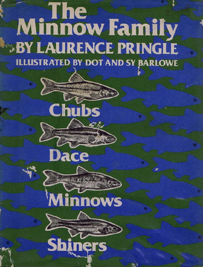 Item #050535 THE MINNOW FAMILY: Chubs, Dace, Minnows, and Shiners. Laurence Pringle.