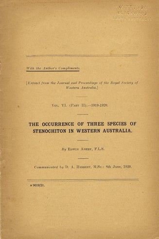 Item #100949 THE OCCURRENCE OF THREE SPECIES OF STENOCHITON IN WESTERN AUSTRALIA. Edwin Ashby.