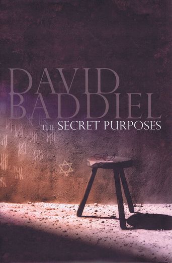 Item #122617 THE SECRET PURPOSES. David Baddiel.