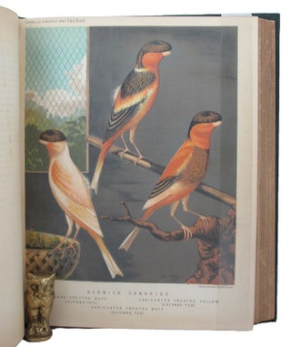 Item #149776 THE ILLUSTRATED BOOK OF CANARIES AND CAGE-BIRDS, BRITISH AND FOREIGN. W. A....