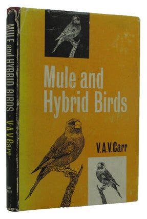 Item #149829 MULE AND HYBRID BIRDS. V. A. V. Carr