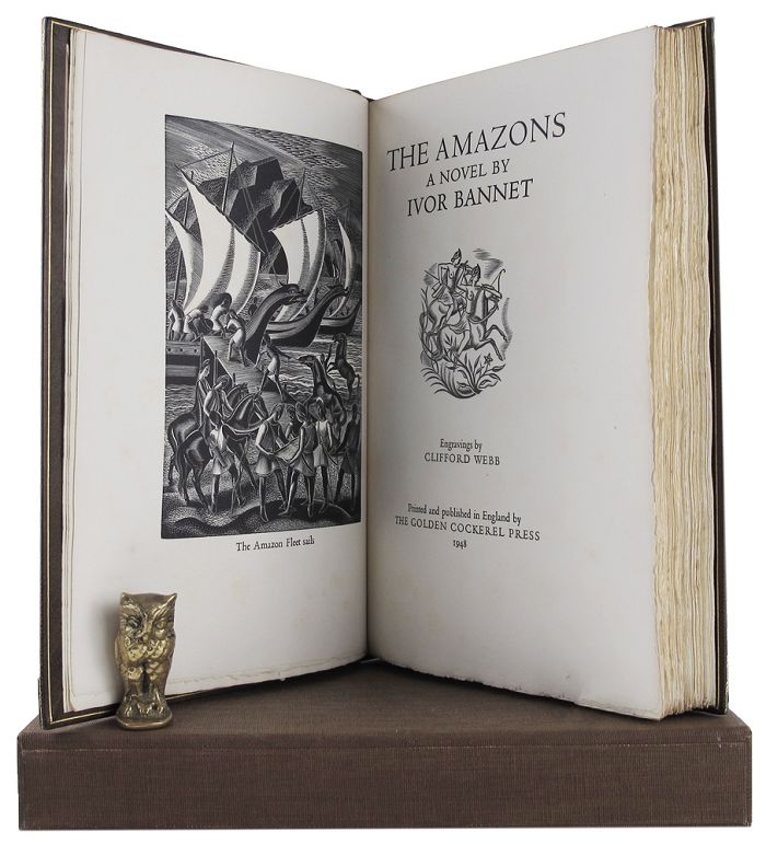Item #162780 THE AMAZONS: A novel. Ivor Bannet.