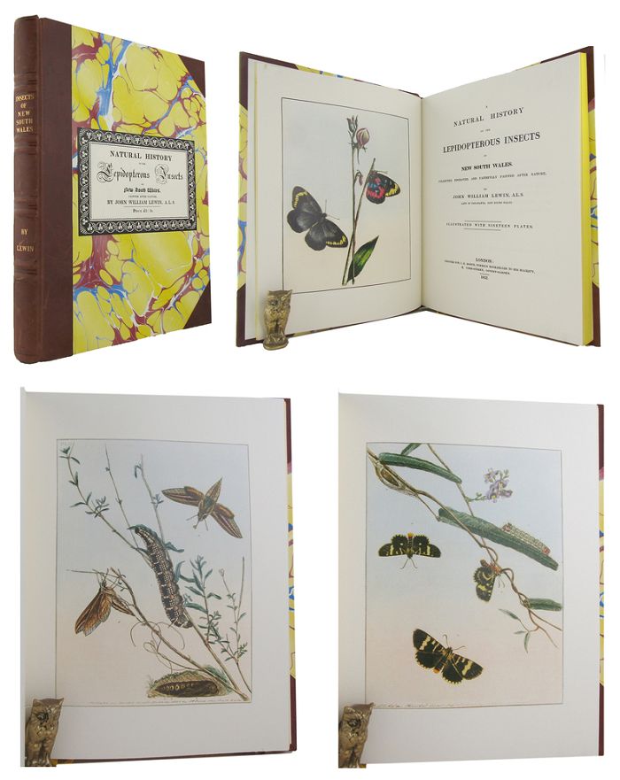 Item #166317 PRODROMUS ENTOMOLOGY. OR, A NATURAL HISTORY OF THE LEPIDOPTEROUS INSECTS OF NEW SOUTH WALES. John William Lewin.