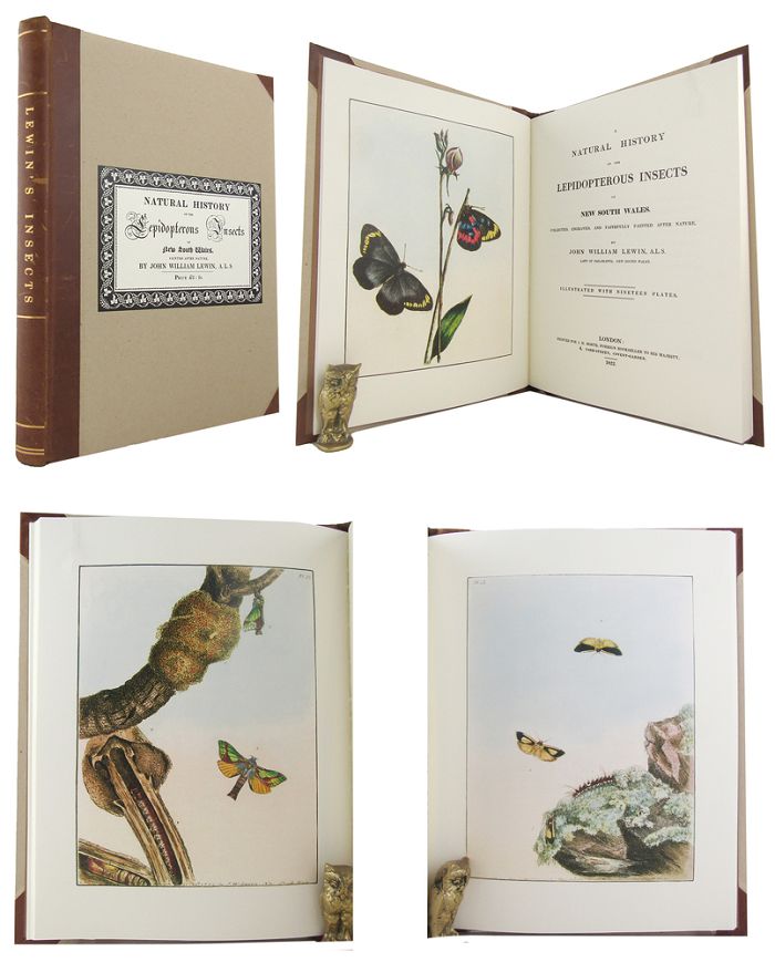 Item #166318 PRODROMUS ENTOMOLOGY. OR, A NATURAL HISTORY OF THE LEPIDOPTEROUS INSECTS OF NEW SOUTH WALES. John William Lewin.