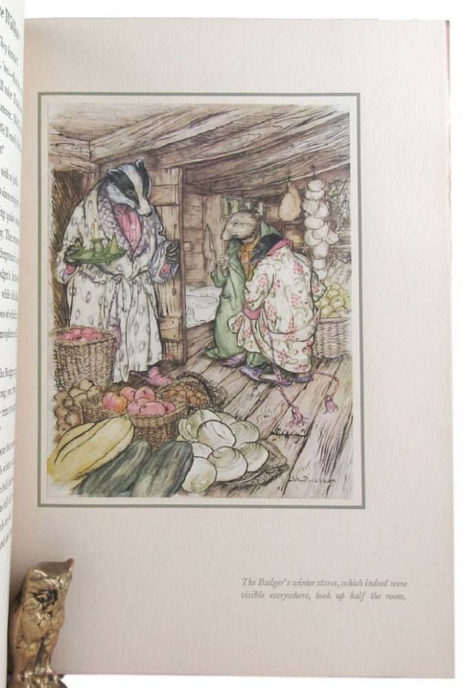 Item #166753 THE WIND IN THE WILLOWS. Arthur Rackham, Kenneth Grahame.
