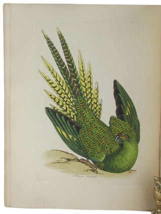 Item #166976 ZOOLOGY OF NEW HOLLAND. George Shaw