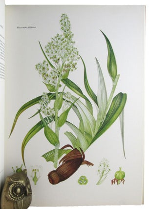 Item #171104 THE ENDEMIC FLORA OF TASMANIA. Painted by Margaret Stones. Botanical and ecological...