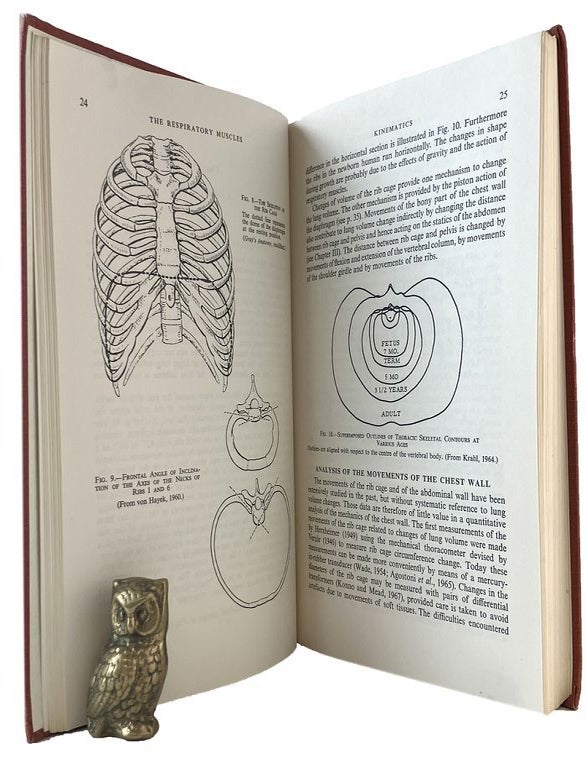 Item #185151 THE RESPIRATORY MUSCLES Mechanics and Neural Control. E. J. M. Campbell, E. Agostoni, J. Newsom Davis.